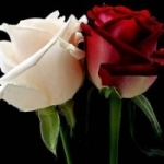 recruiter-profile-image