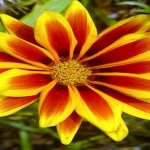 recruiter-profile-image