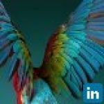 recruiter-profile-image