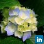 recruiter-profile-image