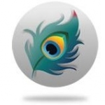 recruiter-profile-image