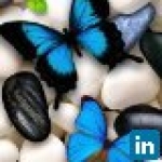 recruiter-profile-image