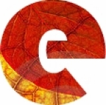 recruiter-profile-image