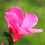 recruiter-profile-image