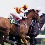 recruiter-profile-image