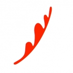 recruiter-profile-image