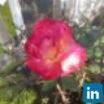 recruiter-profile-image