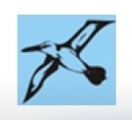 recruiter-profile-image