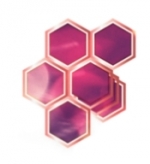 recruiter-profile-image