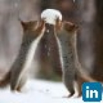 recruiter-profile-image