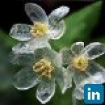 recruiter-profile-image