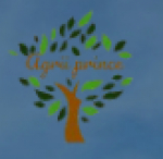 recruiter-profile-image