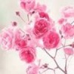 recruiter-profile-image