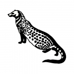 recruiter-profile-image