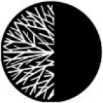 recruiter-profile-image