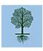 recruiter-profile-image